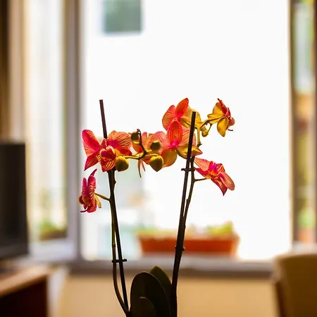 Апартаменты Nou3 *